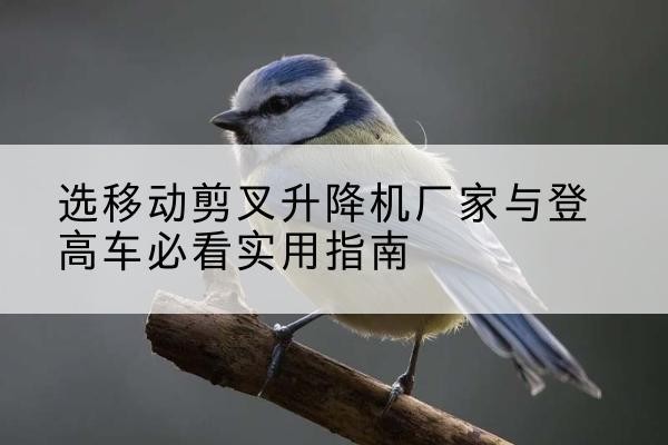 察哈尔右翼后旗电动升降机厂家-选移动剪叉升降机厂家与登高车必看实用指南