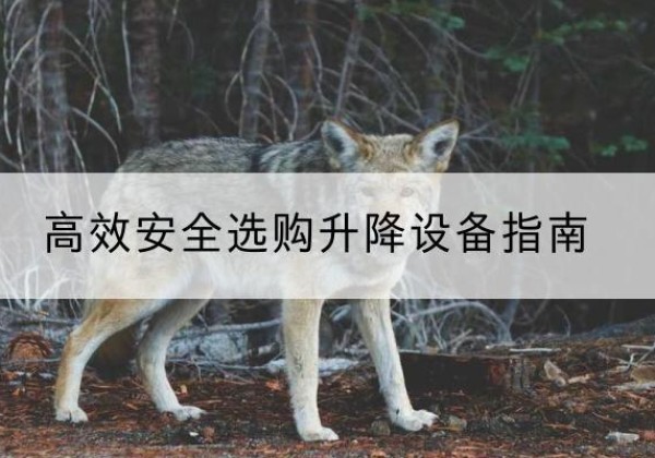察哈尔右翼后旗升降货梯厂家推荐-*安全选购升降设备指南