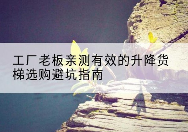 察哈尔右翼后旗升降货梯怎么选-工厂老板亲测有效的升降货梯选购避坑指南